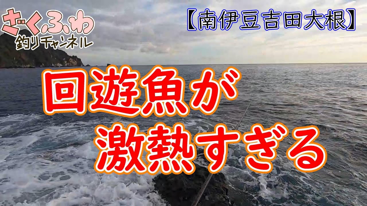 【逆神回】青物等の回遊魚が鬼連チャン！！南伊豆が激熱な件【南伊豆地磯】【ロックショア】