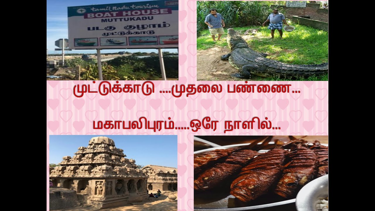 Trip To Mahabalipuram / Trip To Muttukadu  / Trip To Madras Crocodile Bank / Place Visit To Chennai
