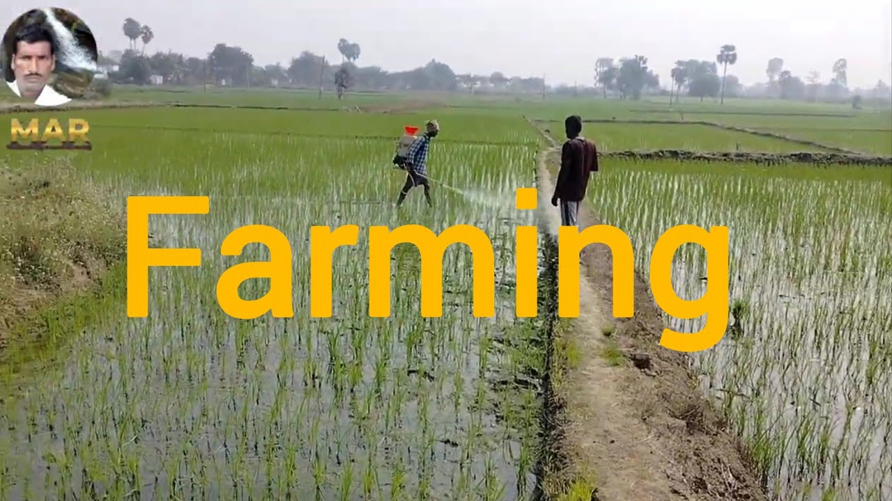 #farming #ytshorts #