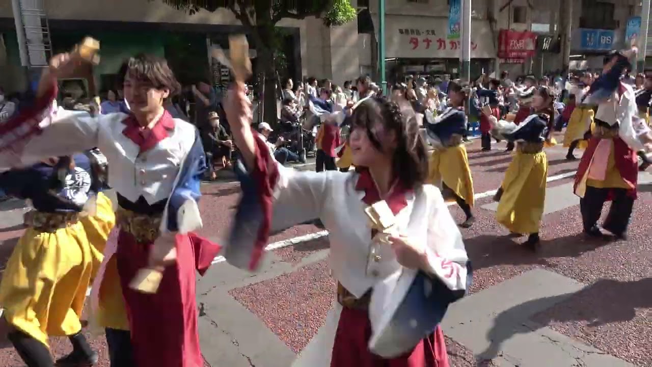 湘南よさこい2025 ～ 早稲田大学よさこいチーム東京花火 （ストリート）