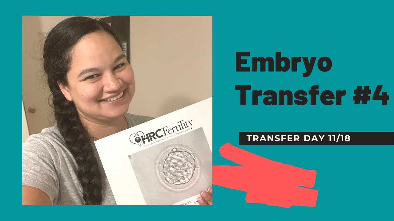 Embryo Transfer #4  | My Surrogacy Journey
