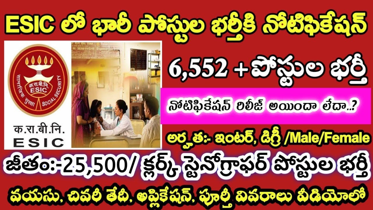 ESIC Recruitment 2021 for UDC & Stenographer Vacancy Notification in Telugu|Application Process