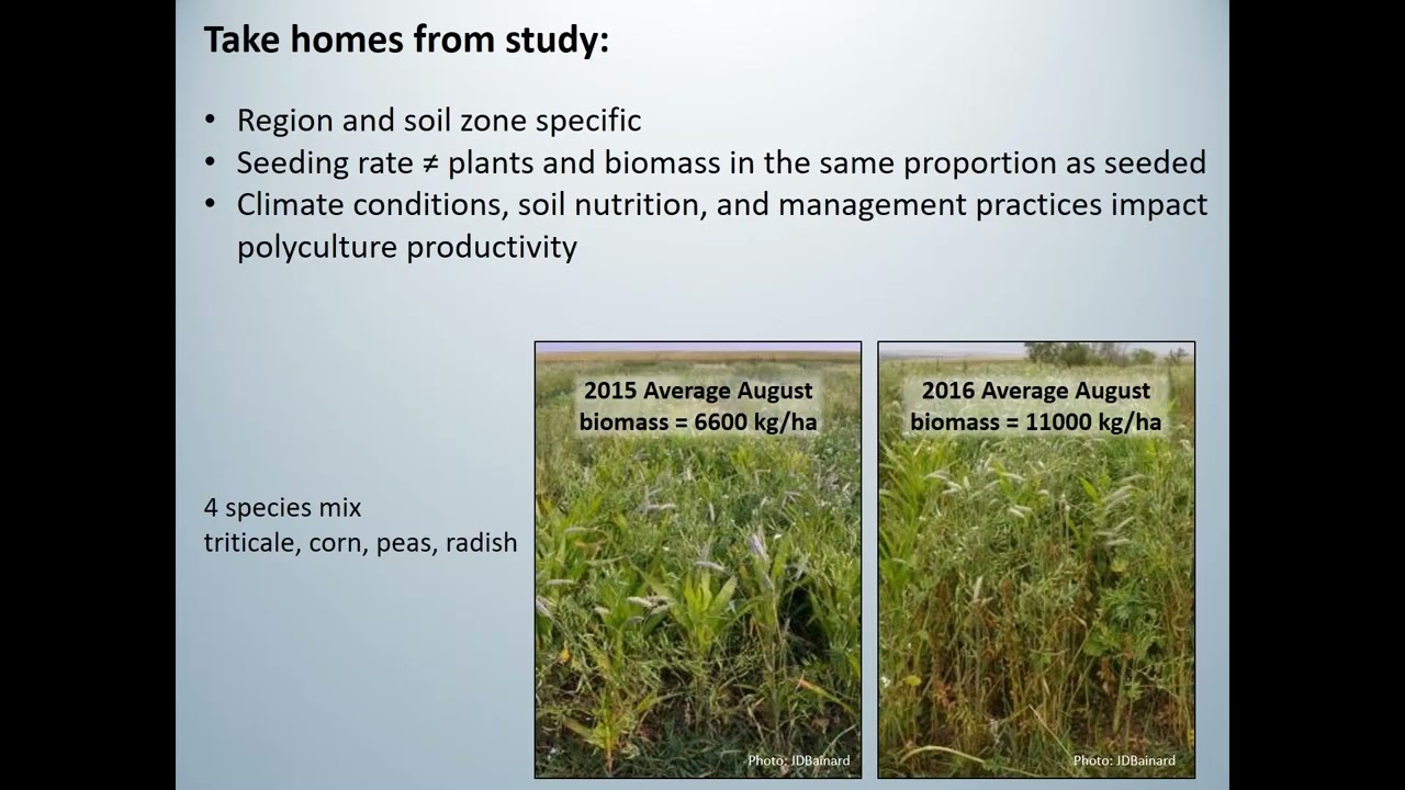 Ranch Management Forum 2021: Everything Poly Crops