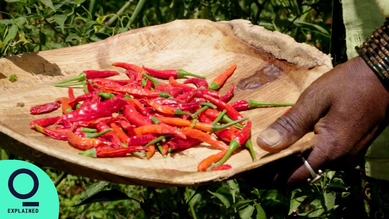 Seeking India's Forgotten Vegetables