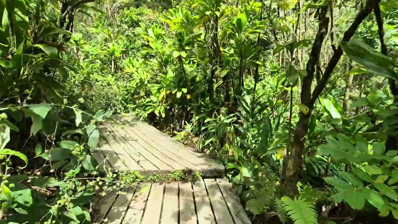 Arriving at Waimoku Falls - Haleakala National Park, Maui