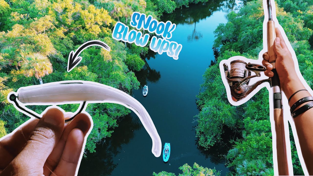 SNOOK FISHING BACKWATER CREEKS! (DOA FLUKE)