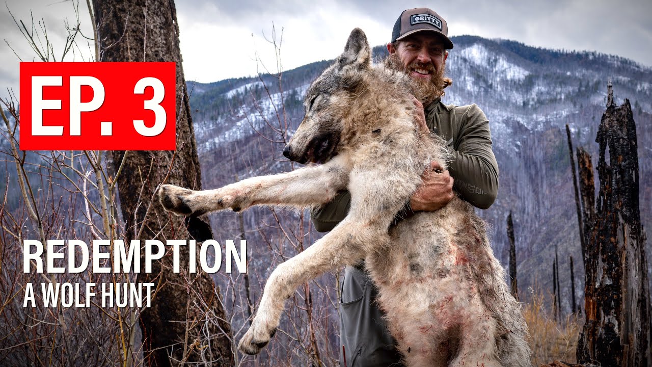 REDEMPTION: A WOLF HUNT | 🎬 GRITTY 4K FILM