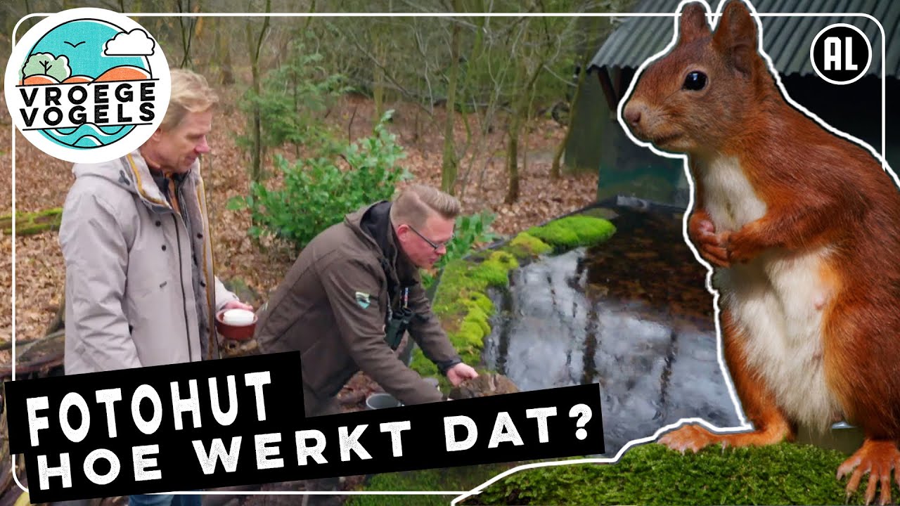 Fotograferen vanuit een fotohut, hoe werkt dat? | TV | Vroege Vogels