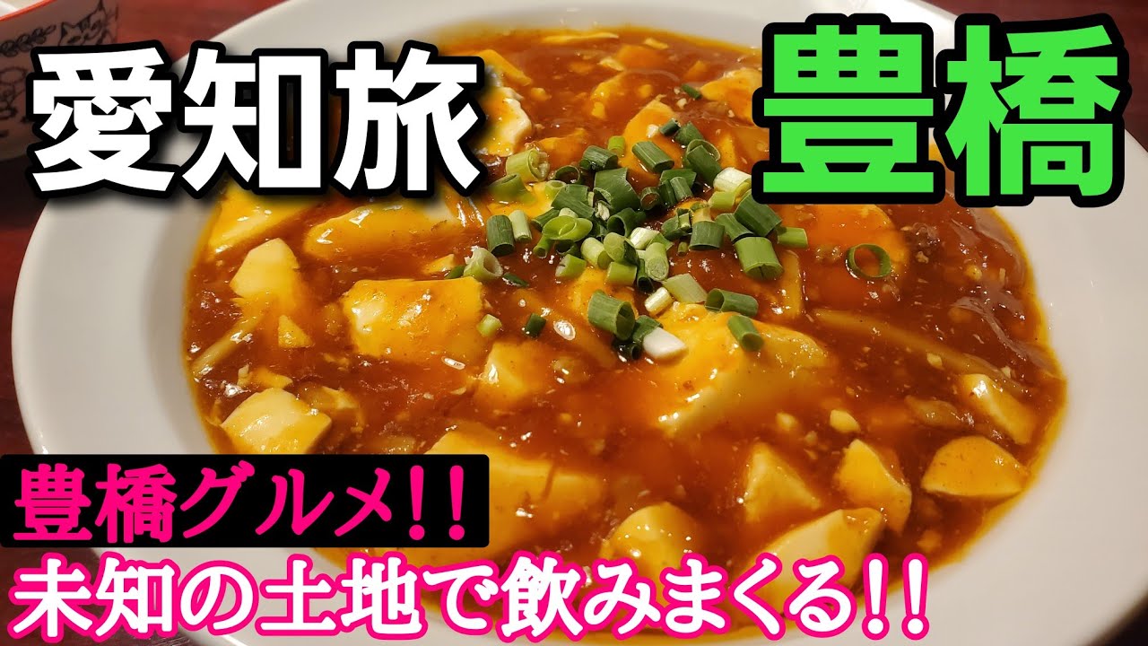 【愛知旅in豊橋】未知の土地で飲みまくる！！行って分かった豊橋ってこんなに楽しめるんやね！！