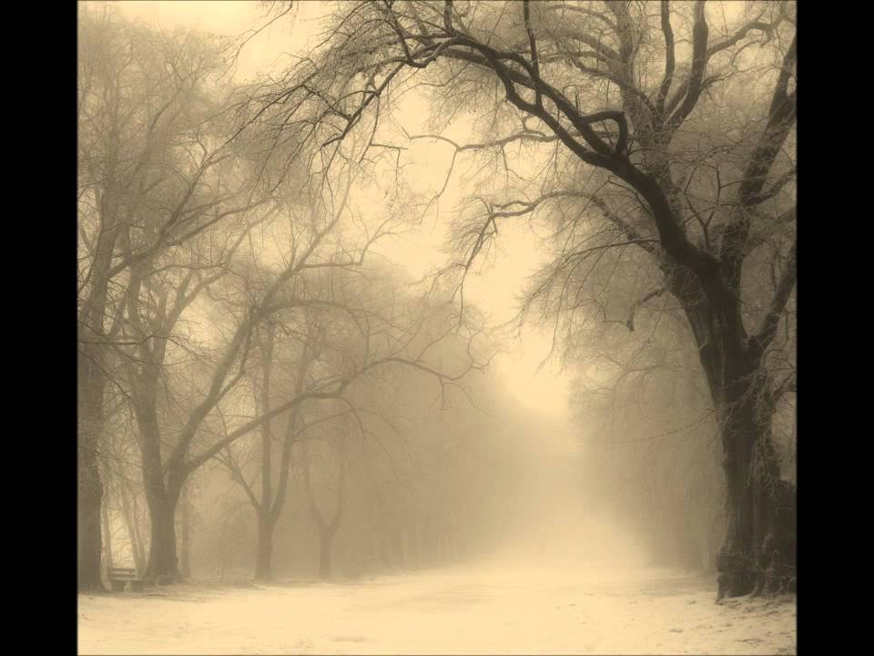 Lord Vicar- Endless November