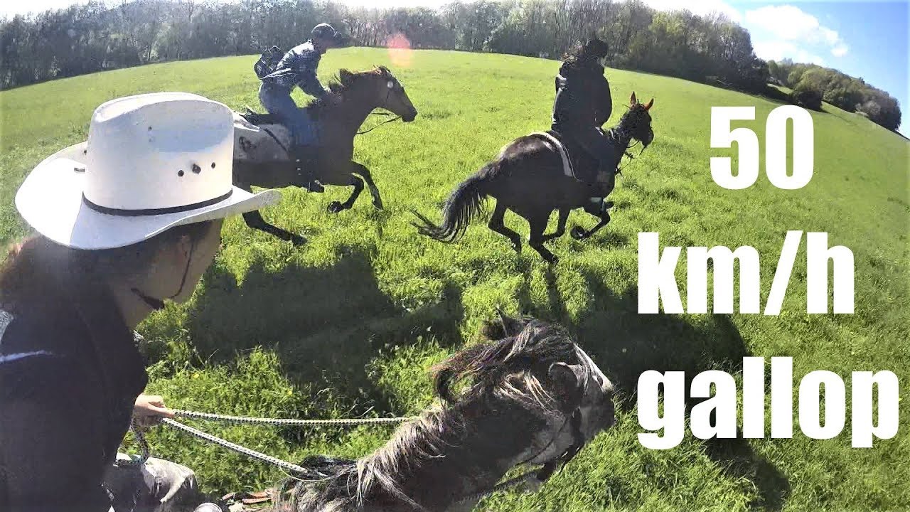Extreme horse galloping //Best of Kristy. M Ranch //