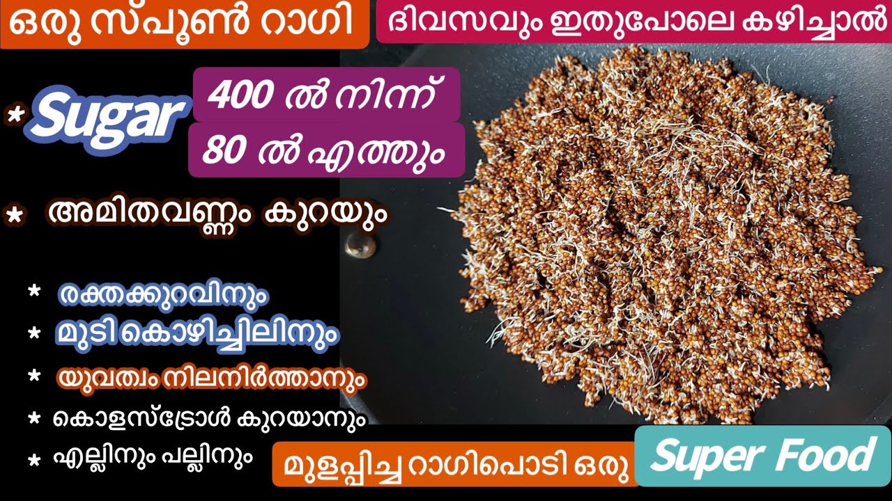 ശുദ്ധമായ മുളപ്പിച്ച റാഗിപൊടി വീട്ടിൽ ഉണ്ടാക്കാം/Sprouted Ragi Flour/2 Easy Ragi Weight loss Recipes