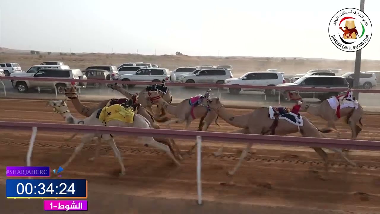 ميــدان الذيد - شـ 1 فطامين 12/07/2025 مزون لـ عبدالله راشد سويدان الكتبي التوقيت 2:07:31