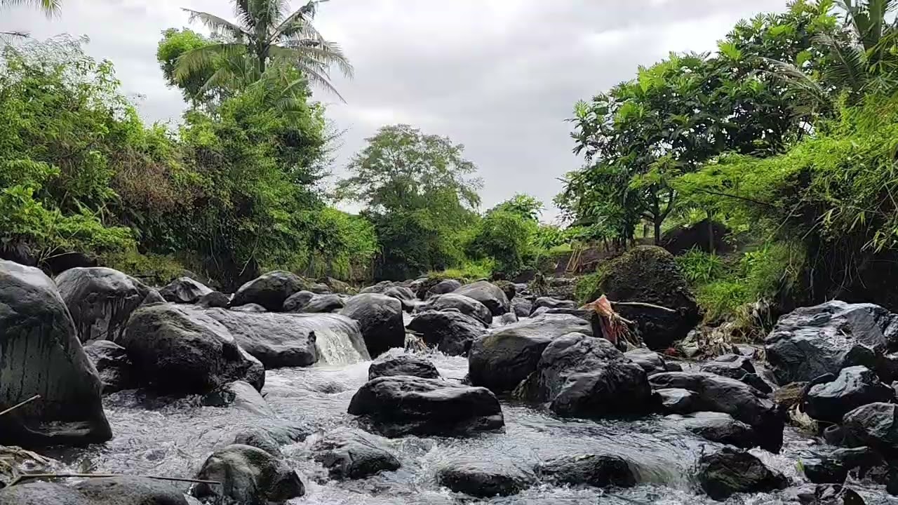 Relaxing Nature Sounds for Insomnia Relief and Enhanced Study Focus
