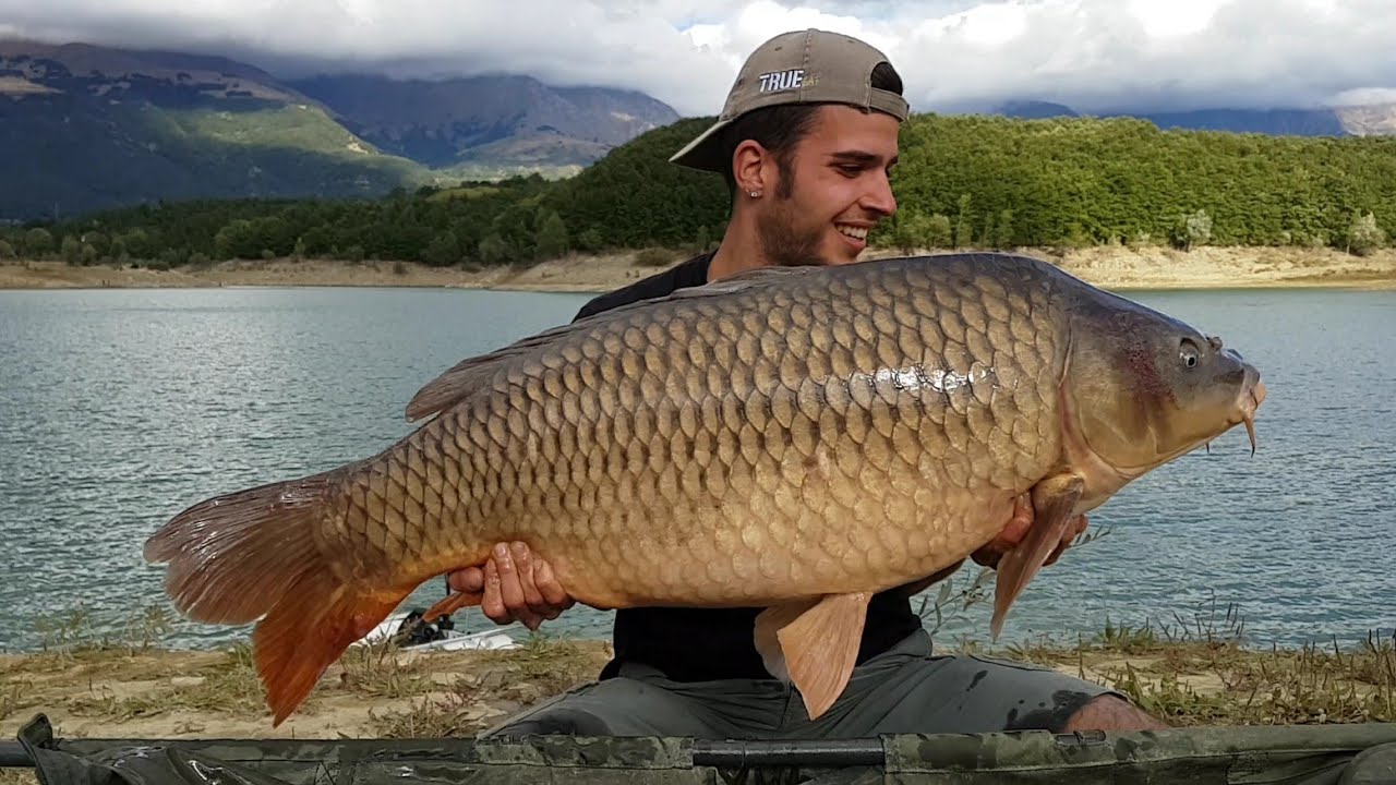 Lago di Scandarello - Carpfishing Season 2k17, so many Big Carps.