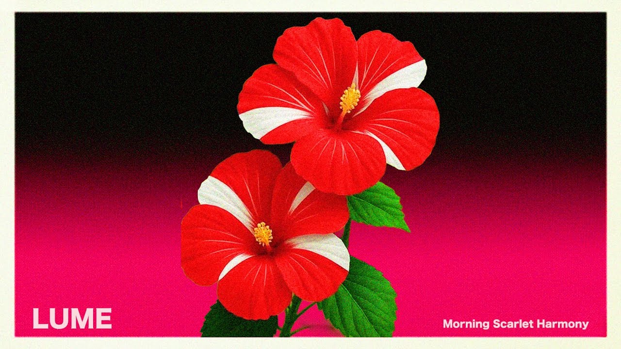Chill House for a Positive Morning Vibe  | Morning Scarlet Harmony