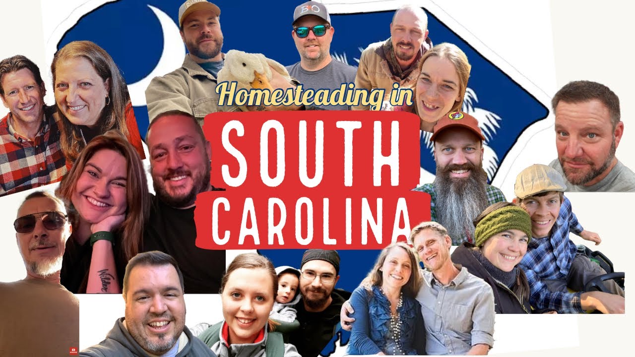 Why we homestead in SC a Homesteading in SC Collab - Ep 66