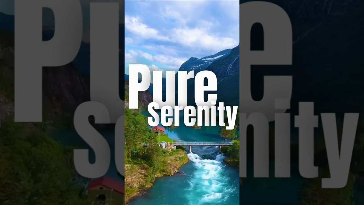 Master Text Animation in Canva | Intro Animated Text Tutorial