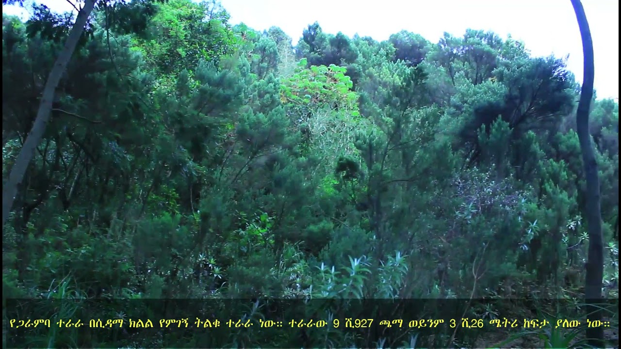 full video of garamba mountain
