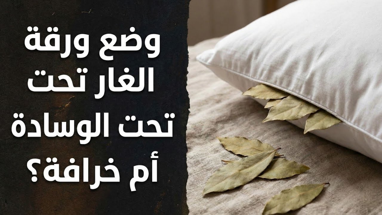 ما حقيقة وضع ورقة الغار تحت الوسادة لزيادة الرزق! هل هي حقيقة أم خرافة ؟