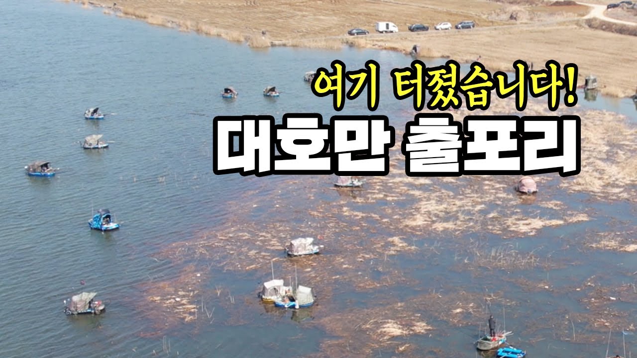 가온[붕어보트낚시]Ver137. 대호만 출포리 지금 난리났습니다!