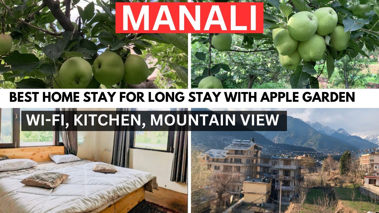 BEST HOME STAY WITH APPLE GARDEN FOR LONG STAY | HOME STAY WITH KITCHEN IN MANALI | MR DREAM STAY