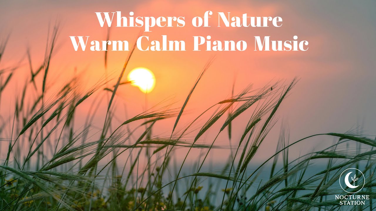 Whispers of Nature – Warm Calm Piano for Deep Relaxation | Nocturne Station