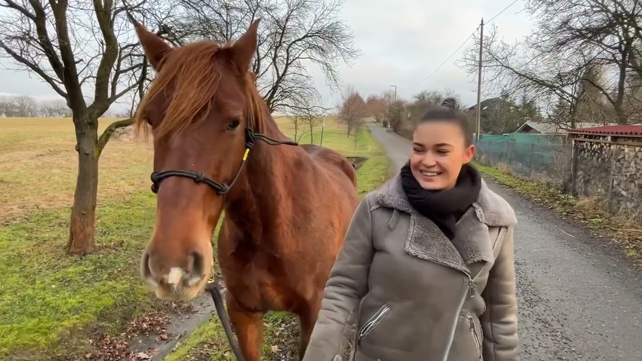 Tréning chůze na vodítku v terénu  Shelby - kratší sestřih videa