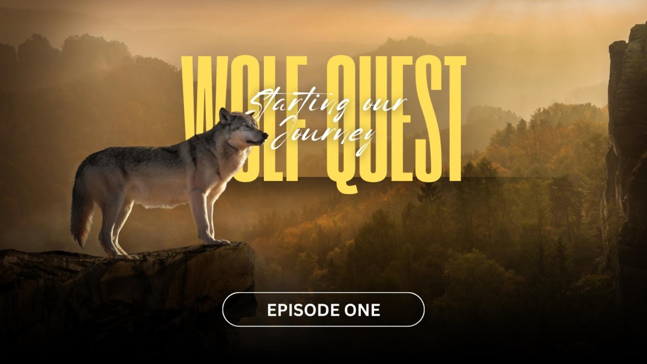 Survival of the Fittest! My Wolf Quest Adventure Begins!