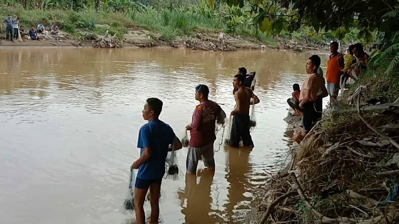 Fishing Net Video - Amazing Fun Catching Fish In The River With A Net ( Part 40 )