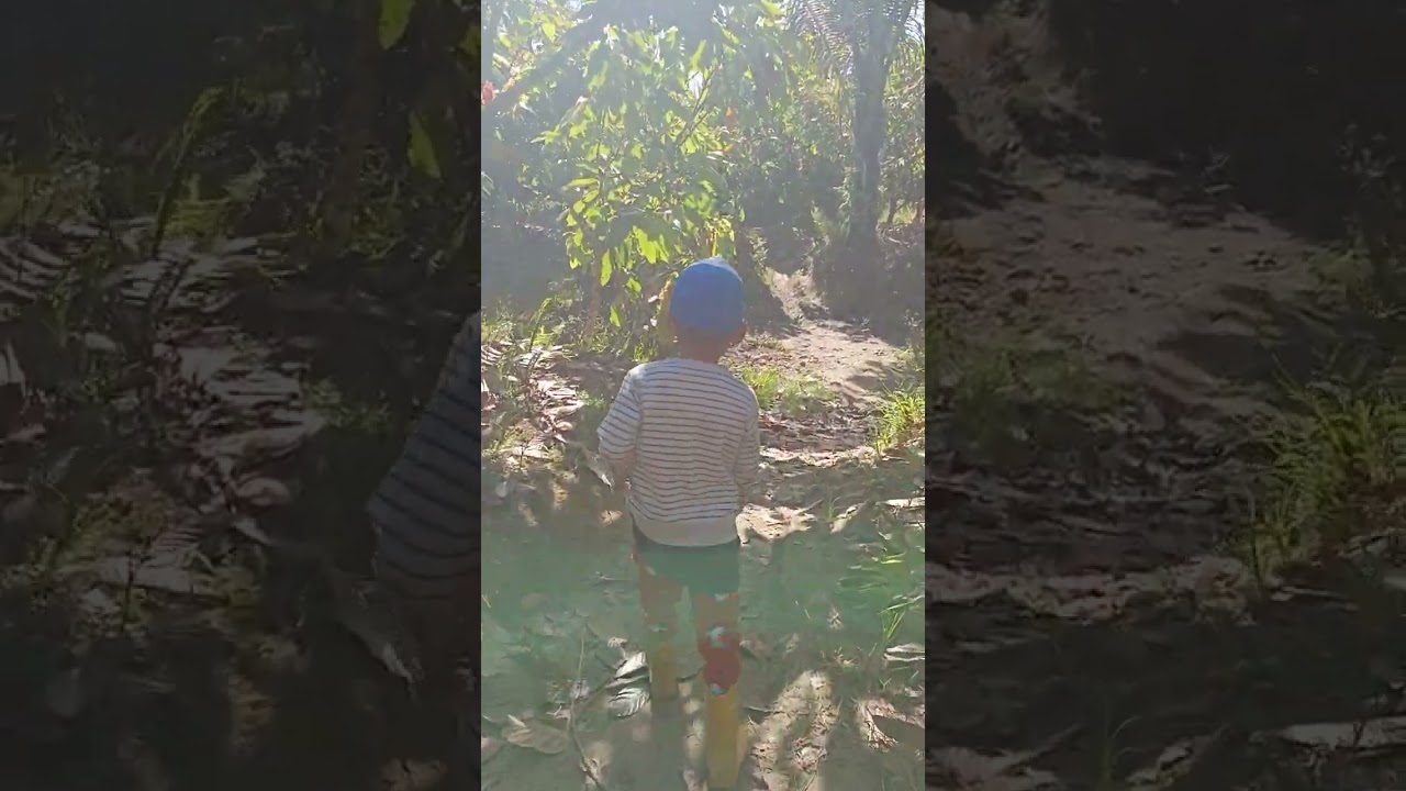 Jhosua Bolu pigi kebun ue ma februari 2026