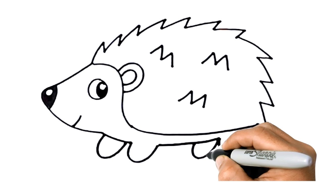 How to DRAW a HEDGEHOG Easy and Simple Animal Drawings