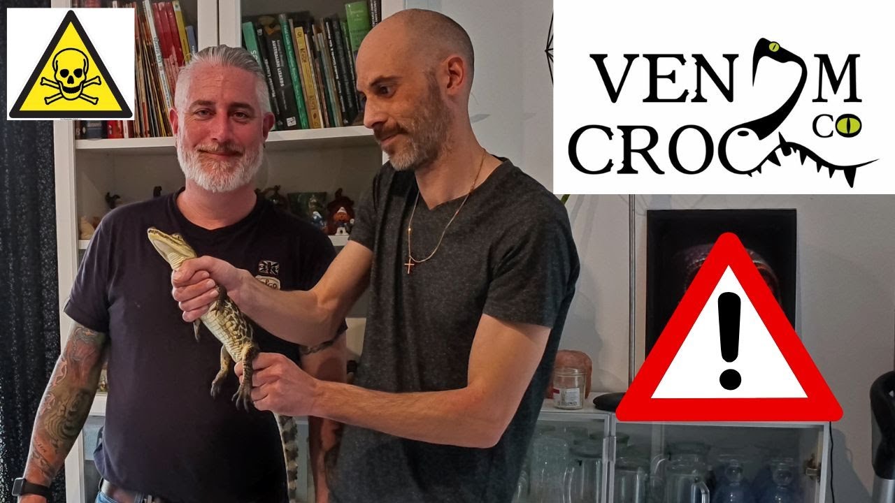 VISITE D'ELEVAGE VENOM CROC. capacitaire crocodile, caïman, alligator, varan, lézard