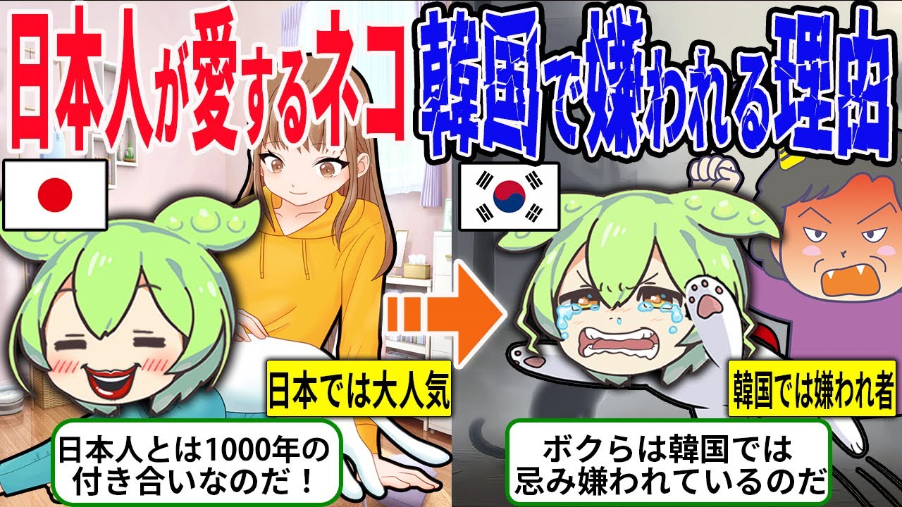 日本「猫大好き！」韓国「猫は大嫌い！」韓国で猫を見かけない理由とは？また日本人と猫の関係とは【ずんだもん＆ゆっくり解説】