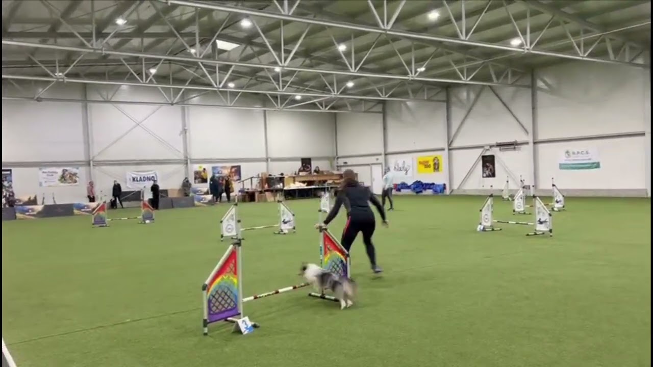 Kukačka první závody & trénink Tachyon