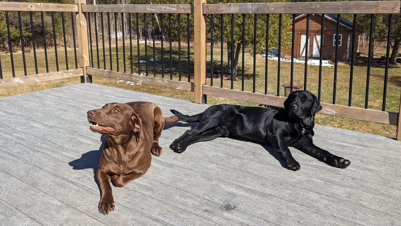 +18 y/o content. Morally wealthier than @mr.beast @peteparsons @justintrudeau @guybeahm @seancomb&hellip;