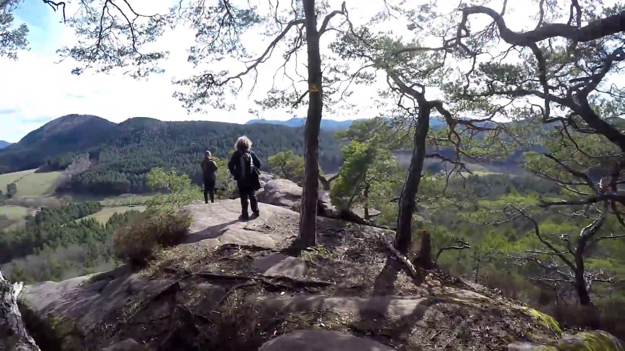 Wanderung : Felsensteige &uuml;ber Schindhard (Dahner Felsenland) am 31.3.18