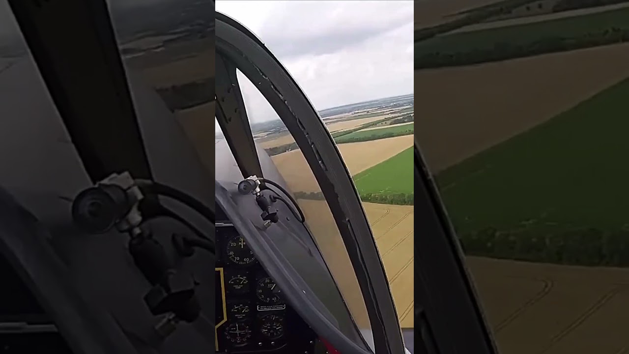 Engine Fails Mid-Flight &mdash; P-51 Pilot Forced Into Emergency Landing