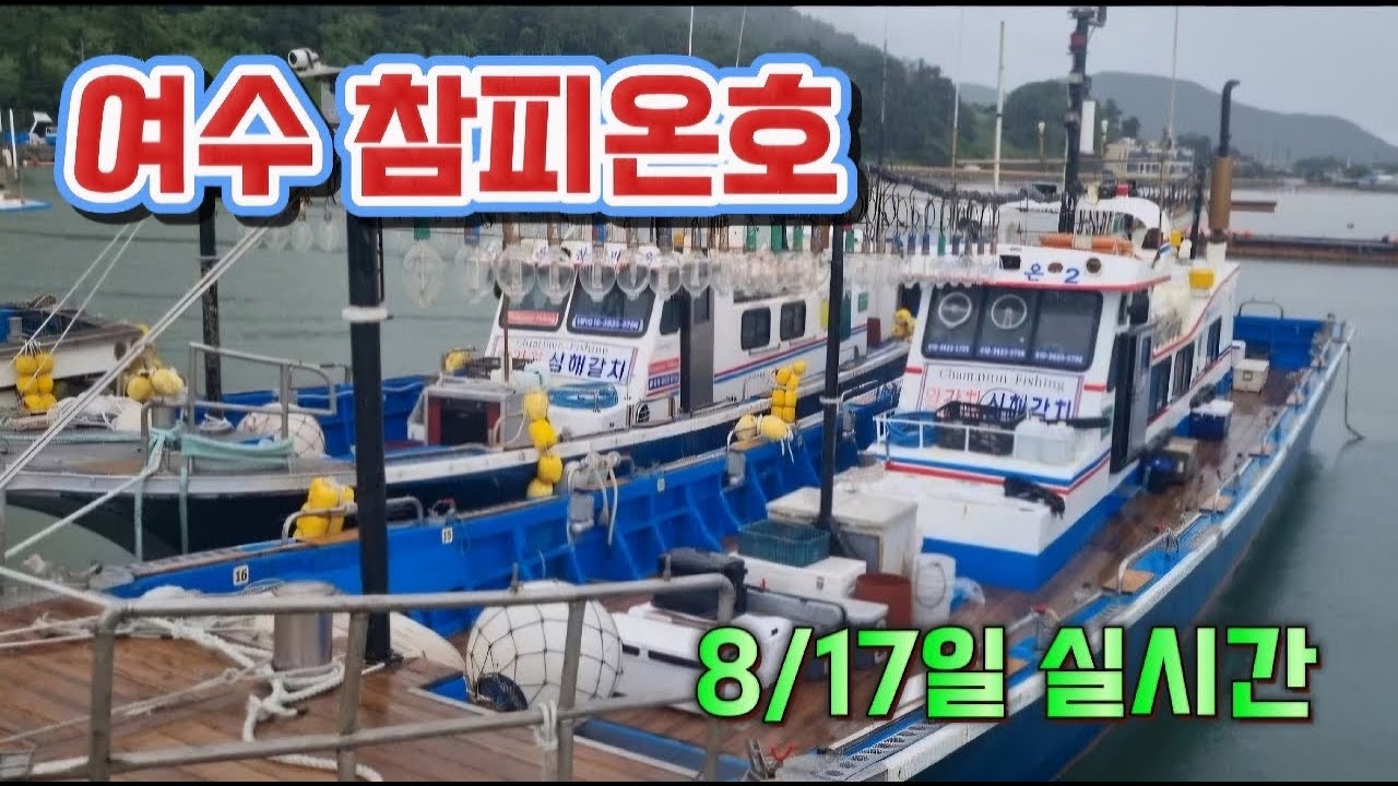 먼바다갈치낚시 여수 참피온호 실시간 8/17일