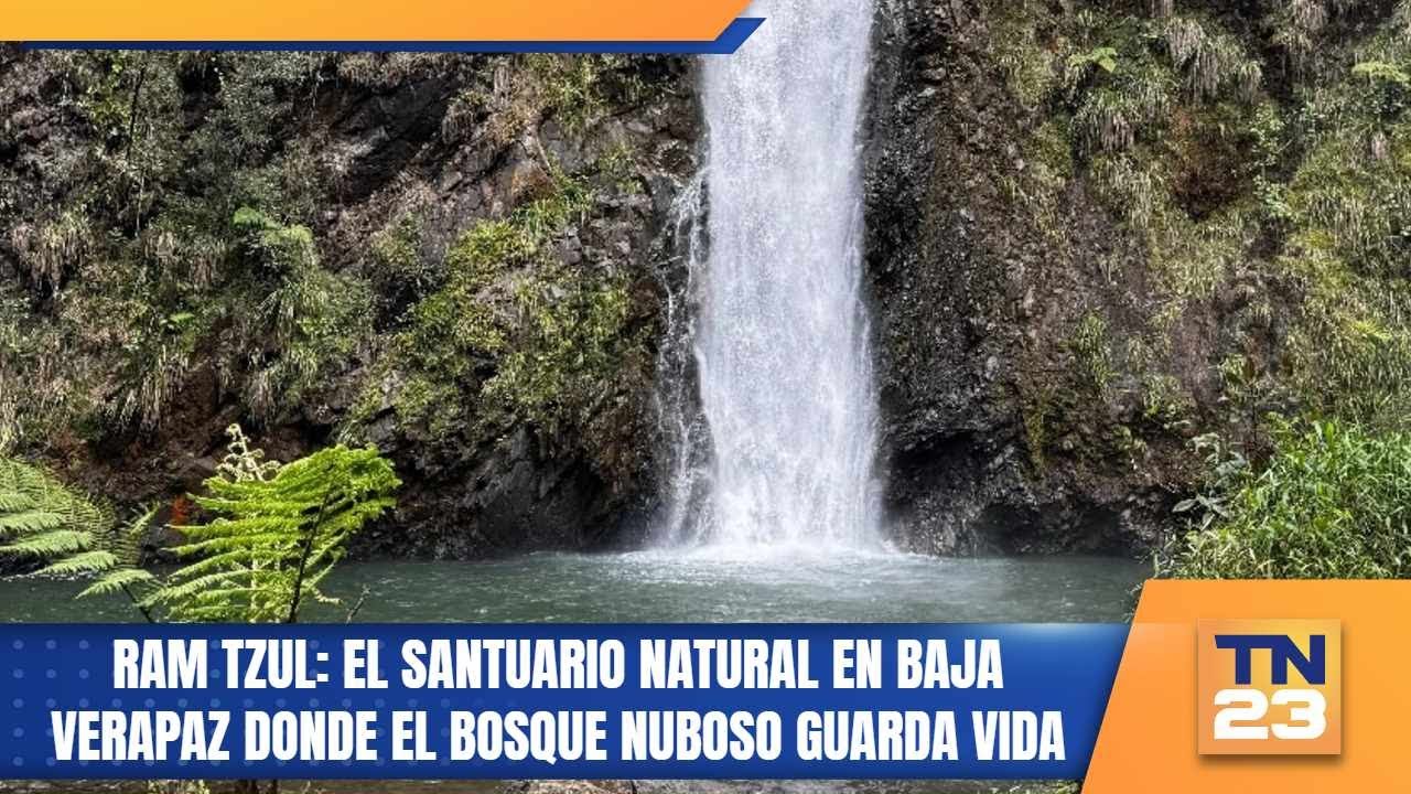 Ram Tzul: el santuario natural en Baja Verapaz donde el bosque nuboso guarda vida