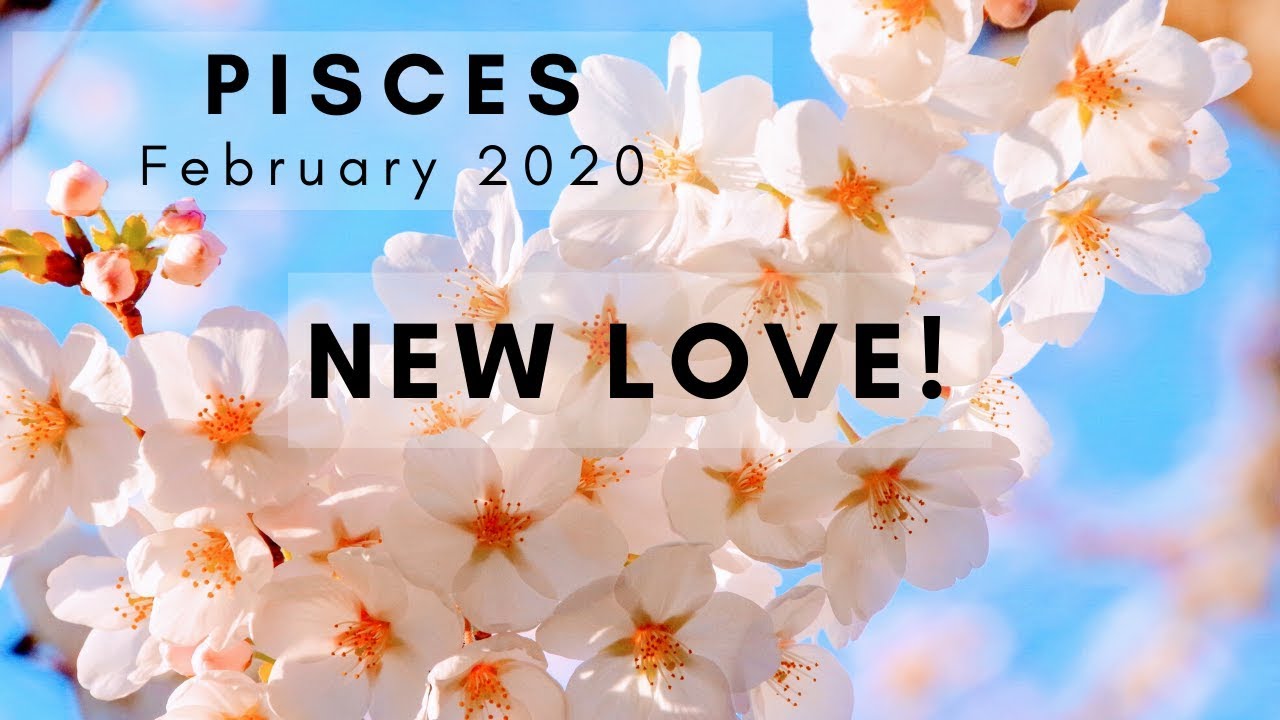 PISCES: New Love!  February 2020