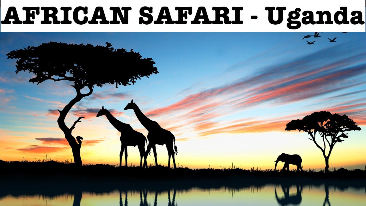 African Safari - Uganda