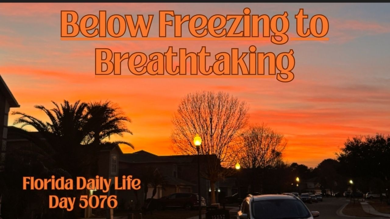 Daily Florida Life/Below Freezing to Breathtaking (day 5076)