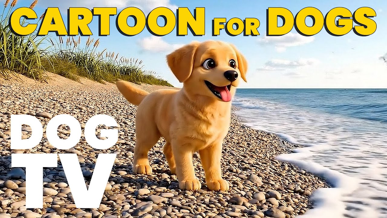 Cartoons for Dogs 🐕 Anti-Boredom Lighthouse Island Adventure for Dogs🐾 Dog TV🐶Calming Music for Dogs