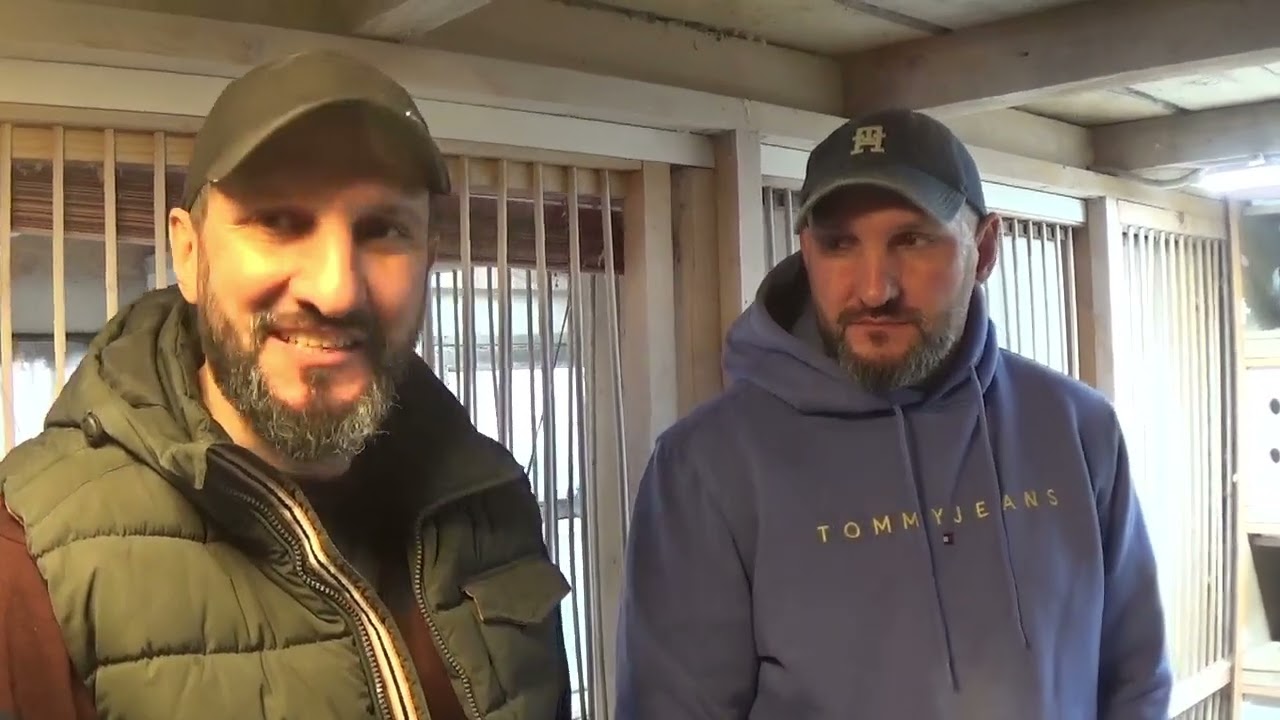 Columbofili tandemul Neagoe Adrian si George Romania porumbei de zbor maraton 15 feb 2026 part 1