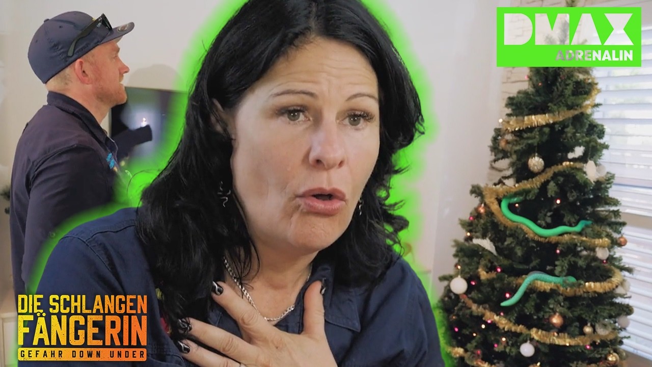 Schlange im Weihnachtsbaum 🐍 | Die Schlangenfängerin | DMAX Adrenalin