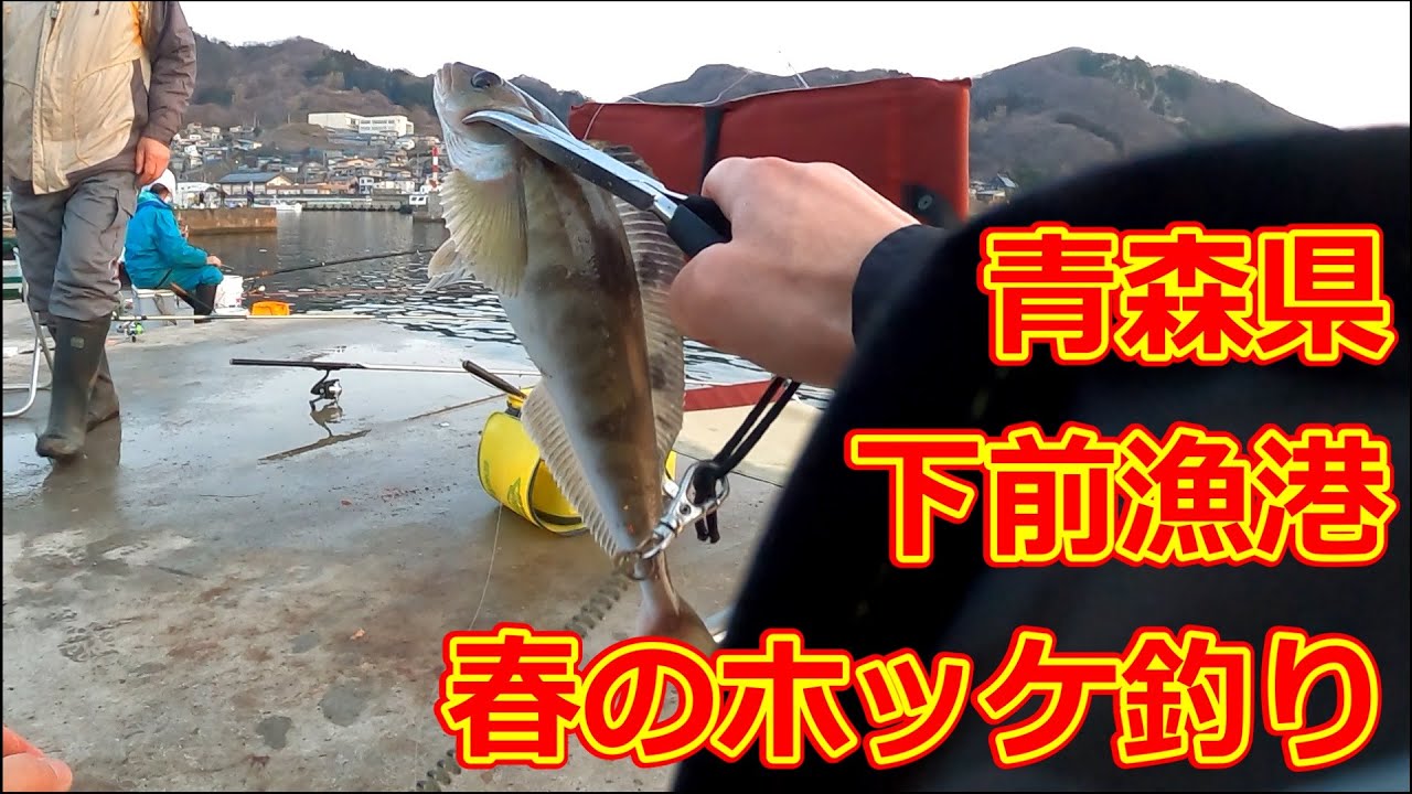 青森県　下前漁港　春のホッケ釣り