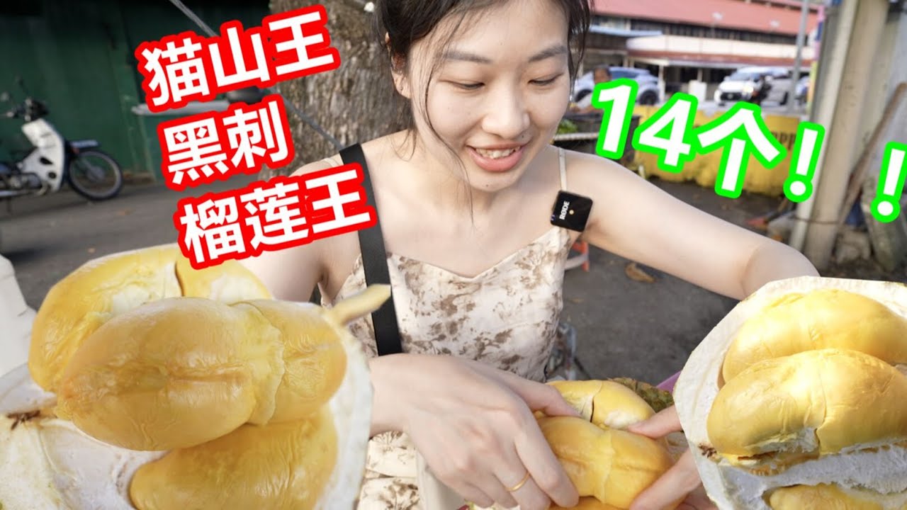 震驚！ 4天怒吃14個榴蓮，價格你不敢想像！ 甘榜/貓山王/101/榴槤「愛馬仕」黑刺吃到爽【大胖和软软】