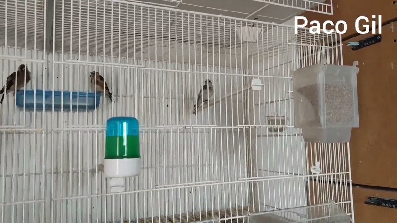 Aquí estamos aún vivo 😄😄😄