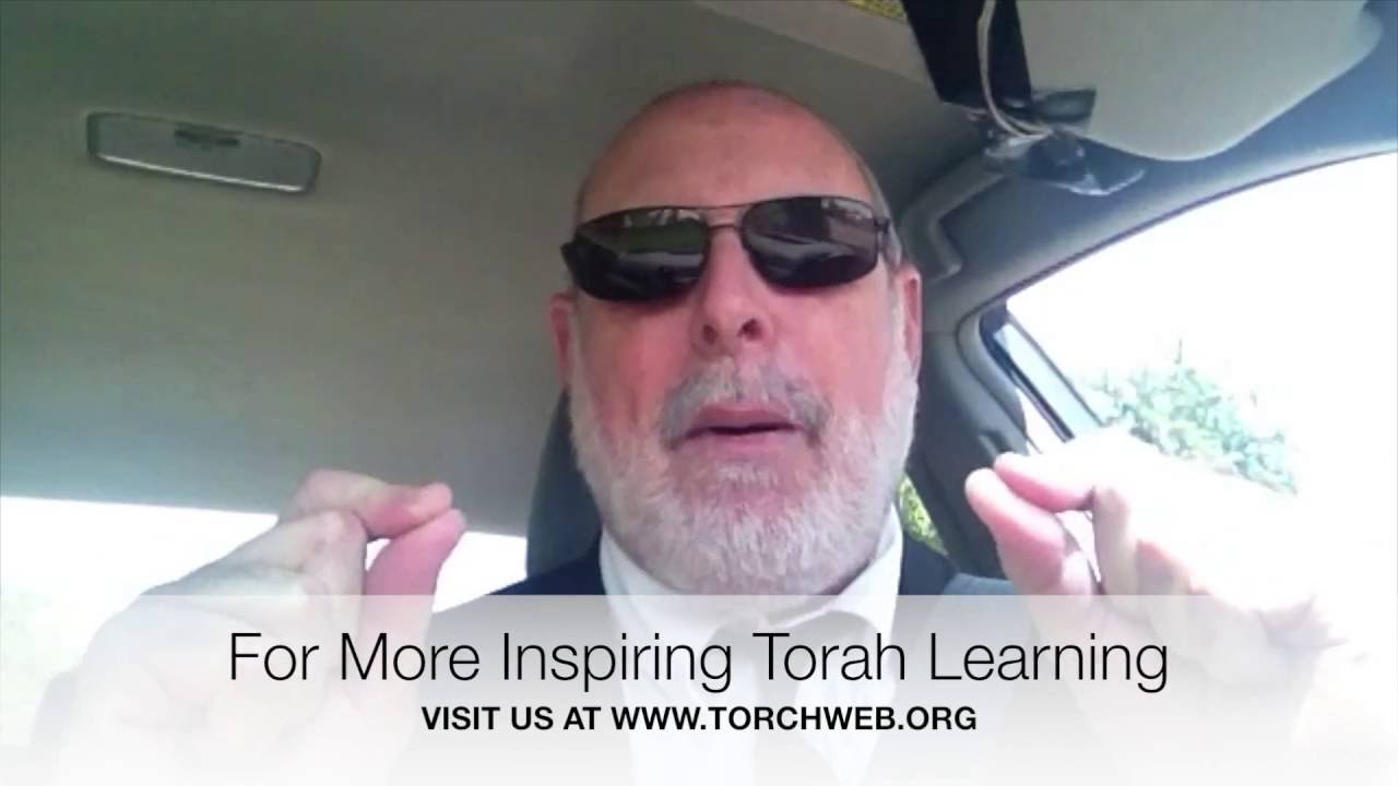 Driving While Jewish - Shelach: Rabbi Yaakov Cohen